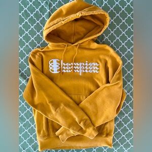 Champion Reverse Weave Hoodie, Adult Size Small